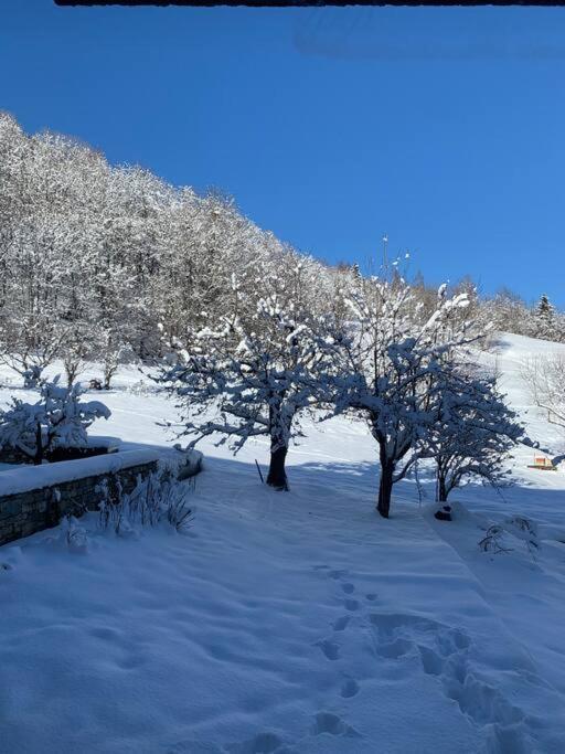 Meribel Chalet De Severine Les Allues 외부 사진